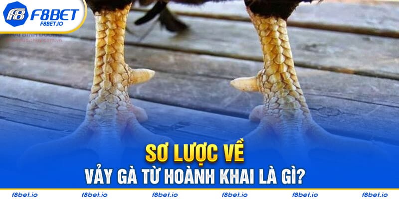 Vảy gà tứ hoành khai là gì?