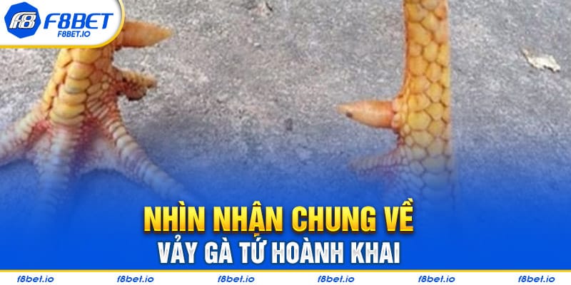 Có nên lựa chọn kê có vảy tứ hoành khai hay không?