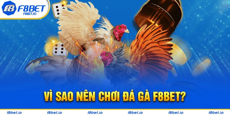 Tại sao bạn nên tham gia đá gà tại F8bet?