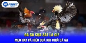 Đá Gà Cựa Sắt Là Gì? Mẹo Hay Và Hiệu Quả Khi Chơi Đá Gà