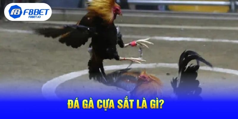 Đá Gà Cựa Sắt Là Gì?