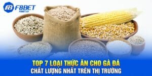 Top 7 Loại Thức Ăn Cho Gà Đá Chất Lượng Trên Thị Trường
